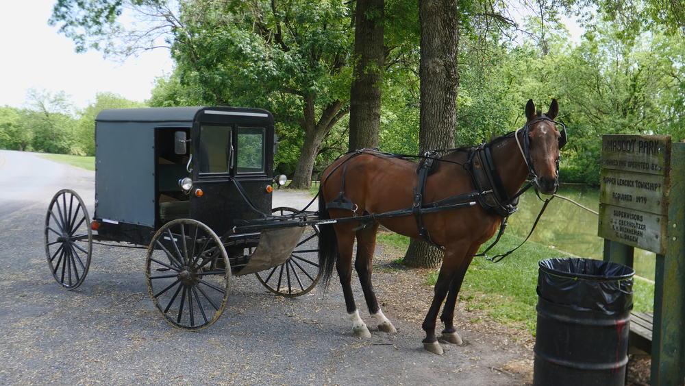 Horse and iconic Amish black buggy on street. Amish Country Ohio.
