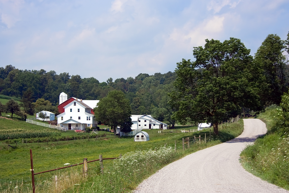 Scenic drive in Amish County Ohio with white houses and red barns alongside rural road.