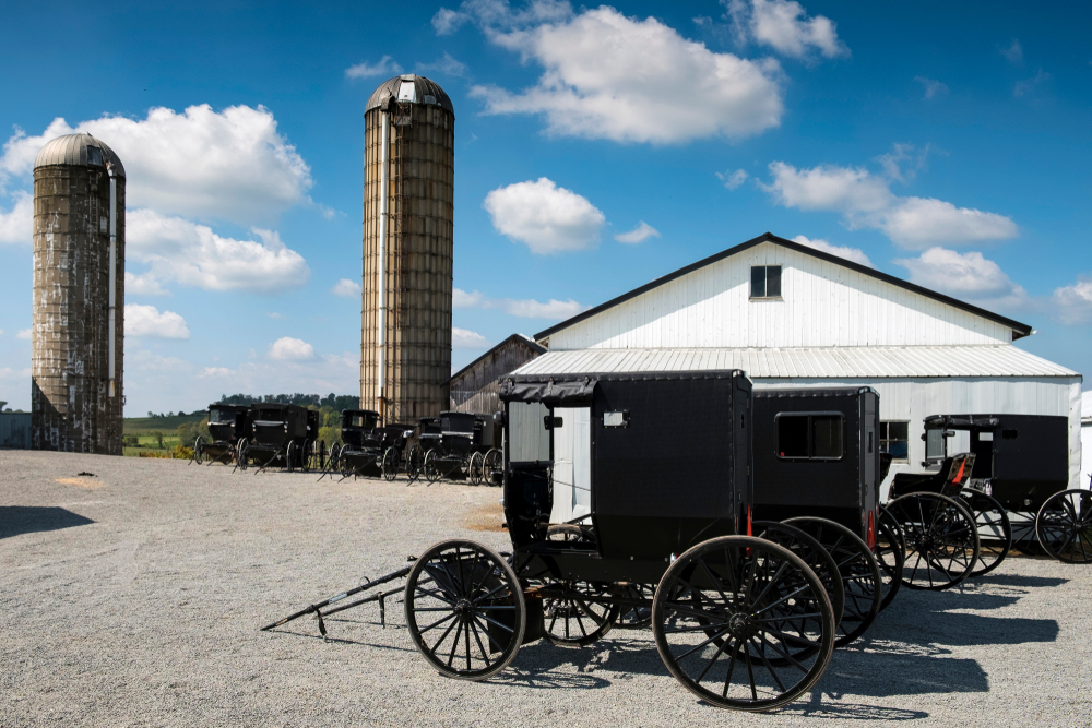 Amish country Ohio farm with black buggies parked.