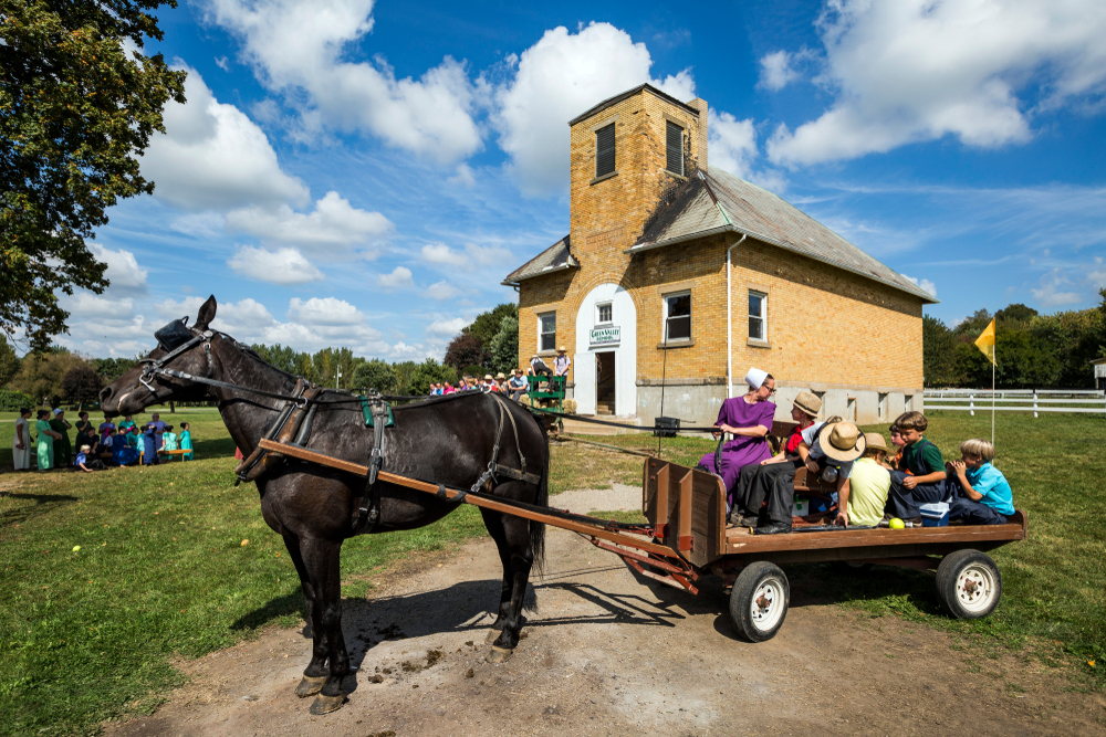 Ohio Amish riding in wagon pulled by black  horse with other Amish and Amish building in background.