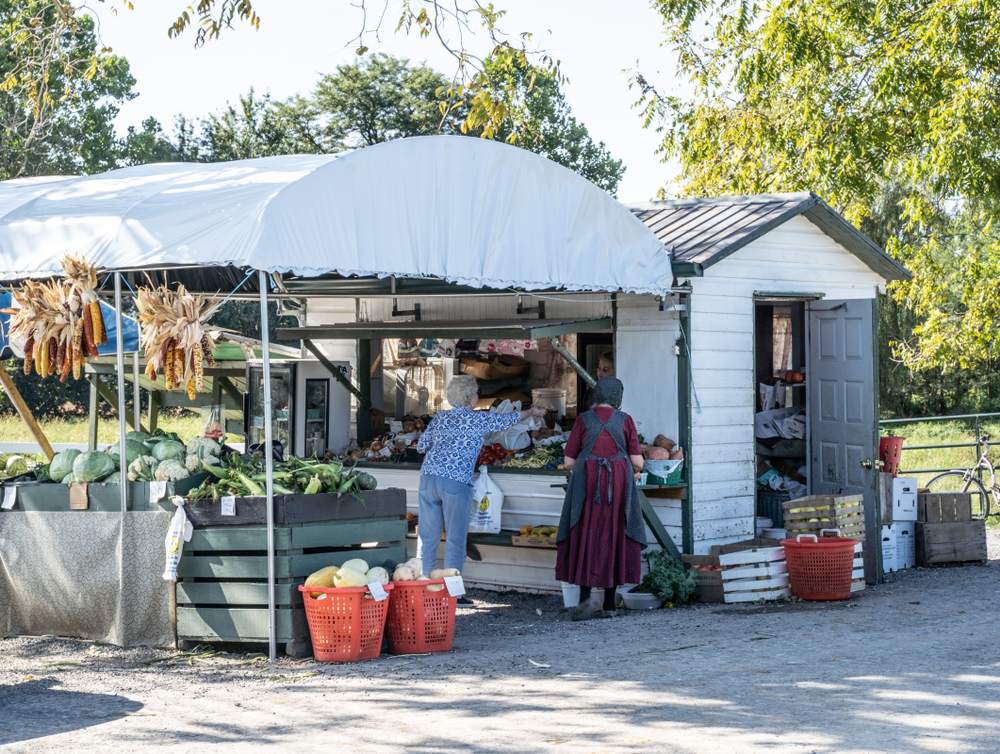 Produce stand with customer and Amish woman in Amish country Ohio
