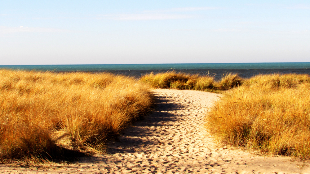 Tiscornia Beach with its sandy shores is one of the best Michigan Beaches.