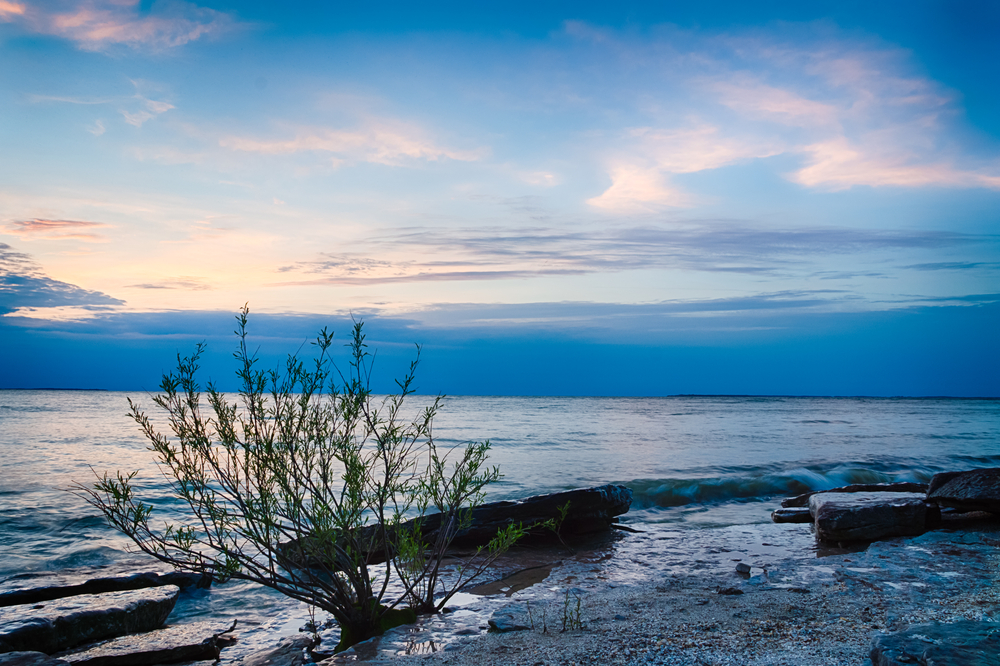 Sunset picture of Kelley's Island beach in Ohio with rocky shoreline and tree in foreground. 