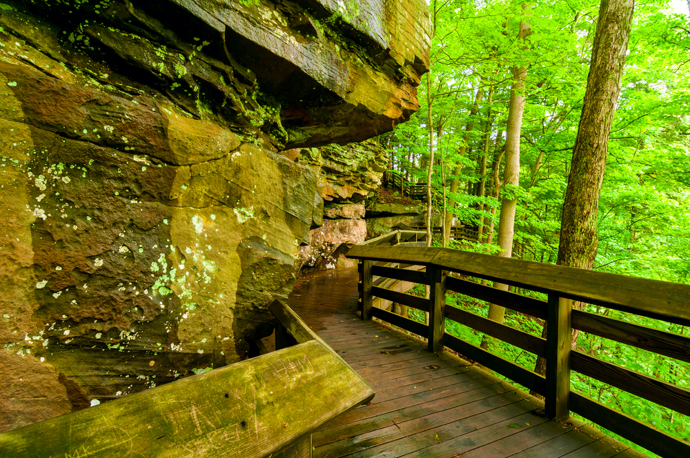 Boardwalk through green forest best Ohio hikes. to Brandywine falls