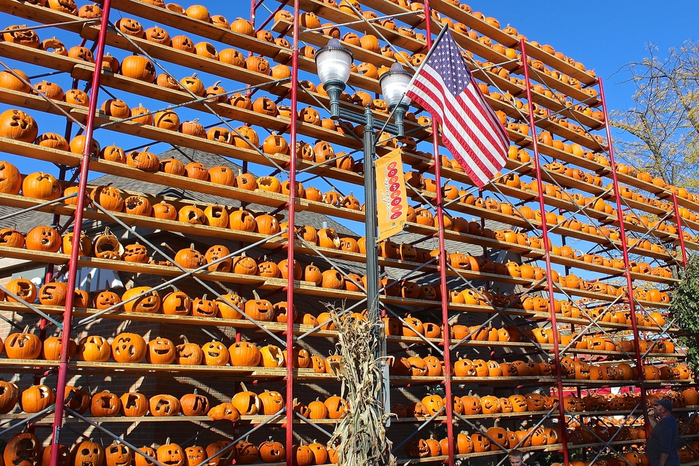 Rows of orange pumpkins at Pumpkin Fest in Highwood, IL.