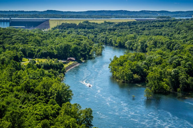 Boat speeding down blue river surrounded by green trees.