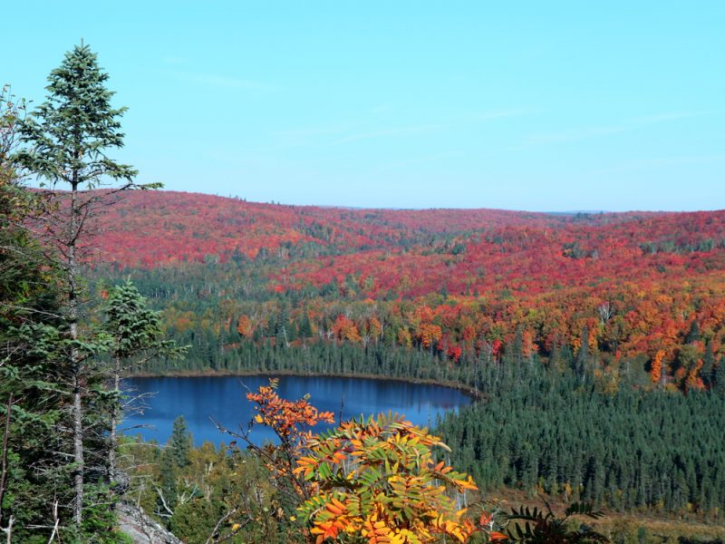 Stunning fall foliage Minnesota North Shore