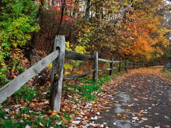 ohio hiking next to wooden fence with autumnal trees next to it,