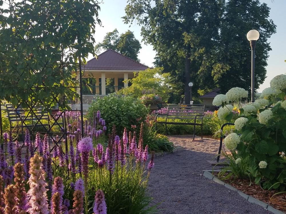 Flowers blooming in Minnesota with town gazebo in background.