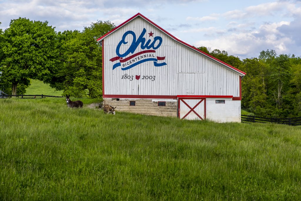 Vintage white barn trimmed in red,  with Ohio logo on side. 