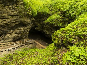 greenery surrounds large hole with wooden stairs leading down into Iowa cave