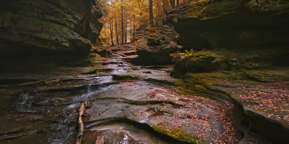 Photo of Ohio fall foliage in background with rocky gorge and small stream in foreground.