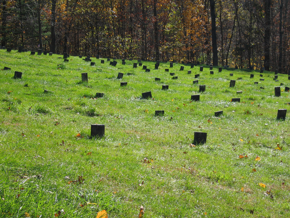 Black cemetery stones in green field.