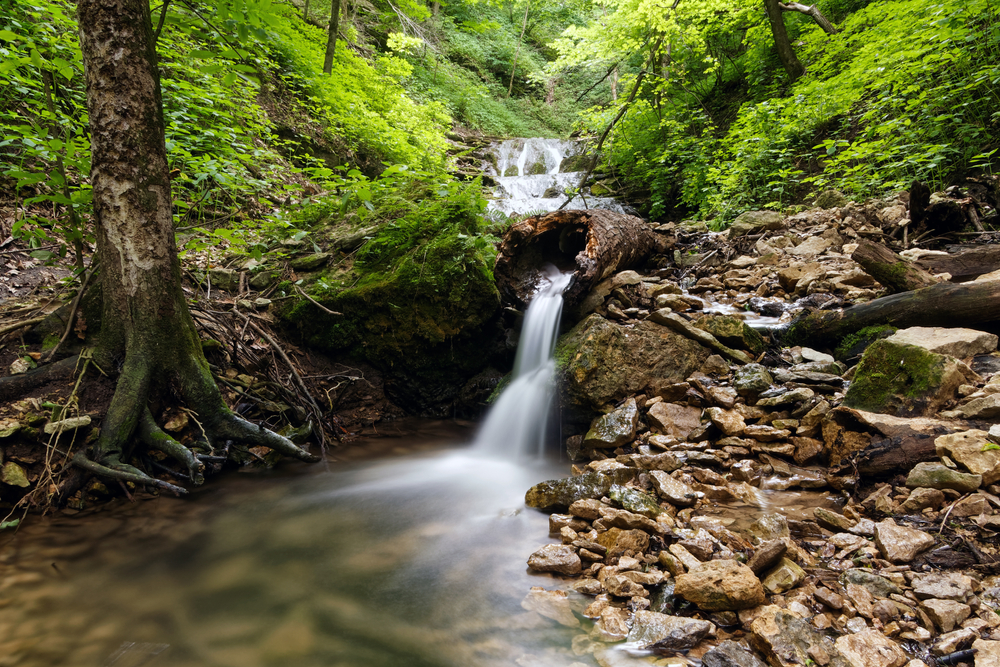 A small secluded waterfall in the woods of Iowa