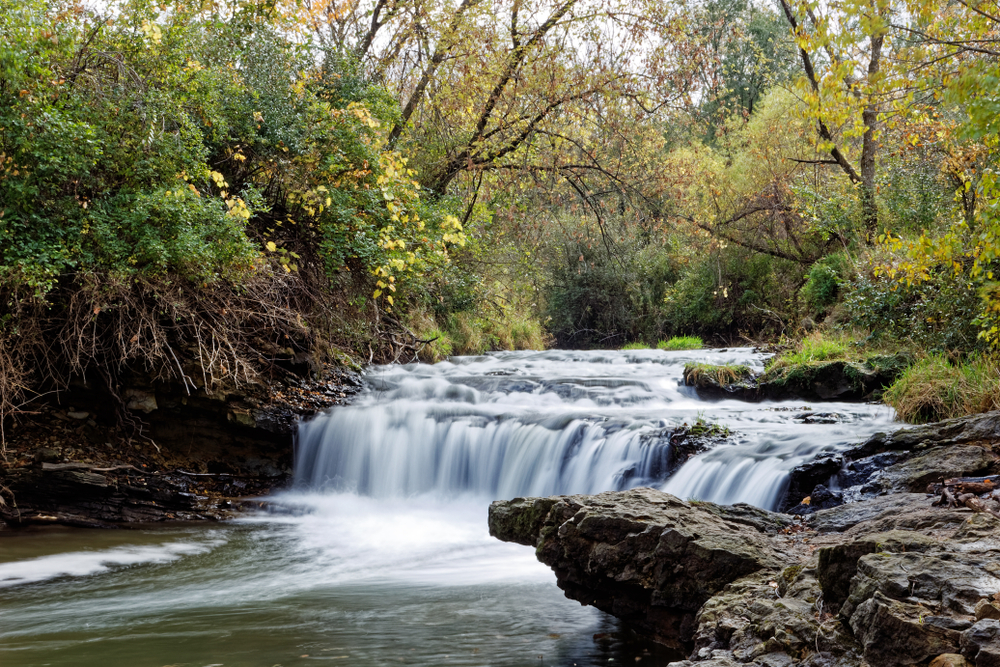 The large Briggs Woods Falls in Iowa on a summer day surrounded by large trees