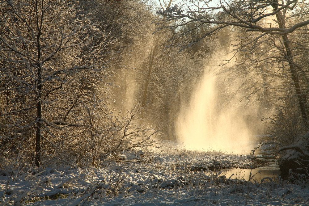 Bixby State Preserve in the winter with tress covered in snow and the ground frozen