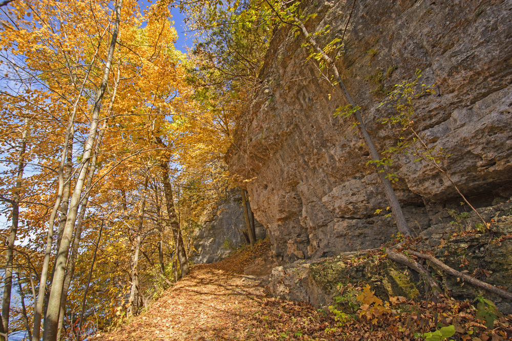 An autumn scene in Backbone Sate park. Orange trees against a rock wall. The article is about caves in Iowa