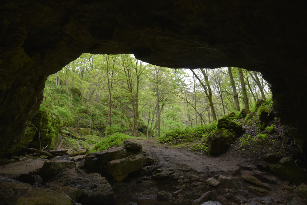 Looking out from a cave to the entrance with trees in the background. One of the caves in Iowa