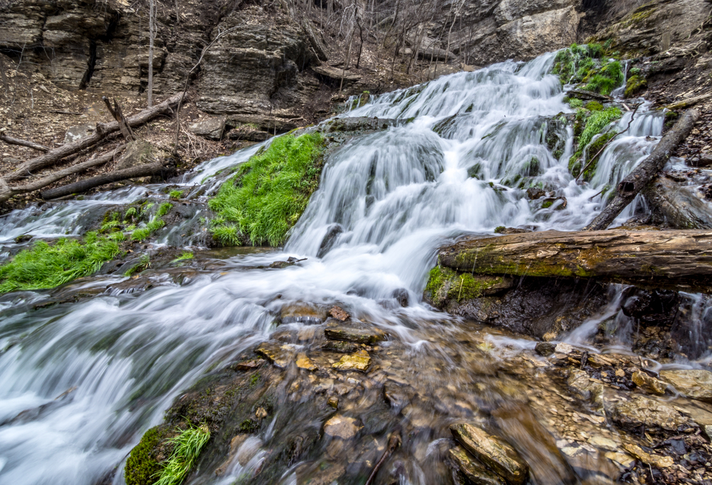 Dunnings Springs waterfall flowing rapidly down rocks around fallen trees and green moss