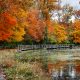 Bright fall foliage in Ohio at park with walking path and lake seen