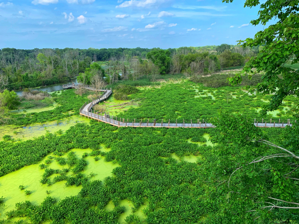 An aerial view of the Galien River Country Park in New Buffalo Michigan