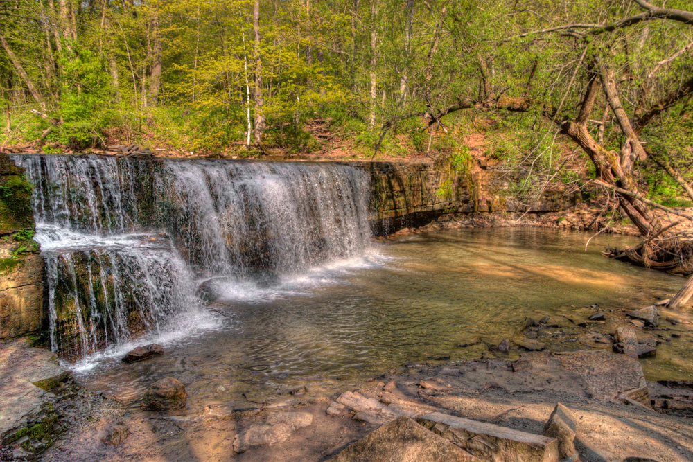 A long waterfall that rushes into a river surrounded by greenery with a dead tree in the water 