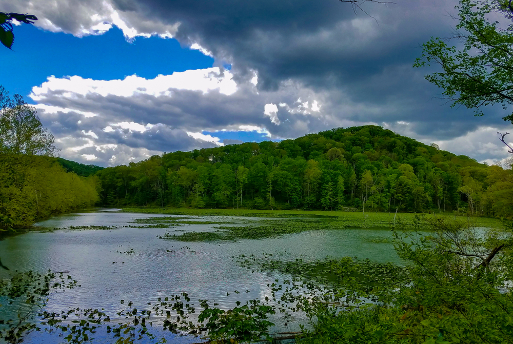 A view of a Lake with a forest in the background Zaleski State Forest is a great place for Hiking in Hocking Hills