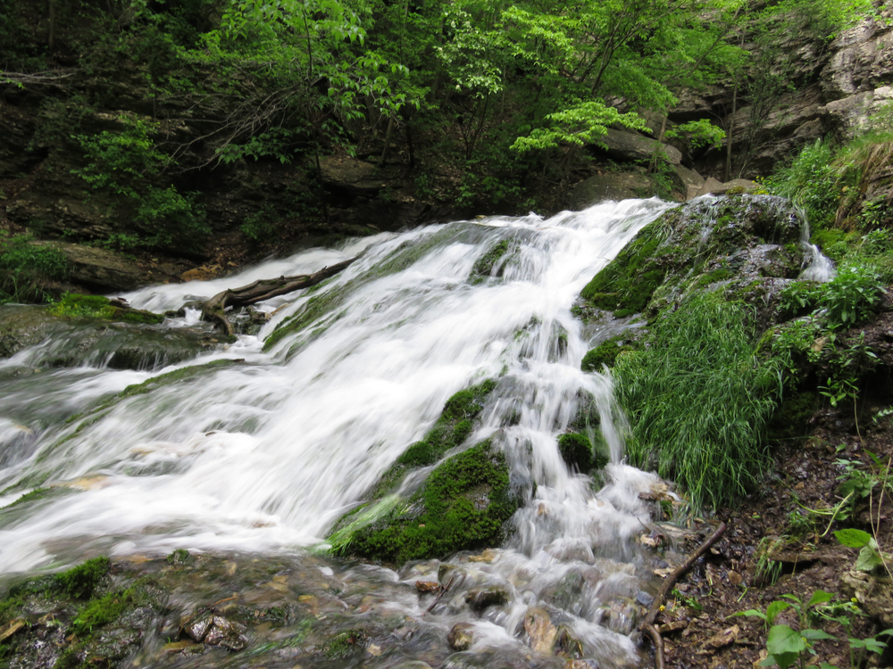 A large waterfall in Dunning's Springs Iowa surrounded by greenery and moss