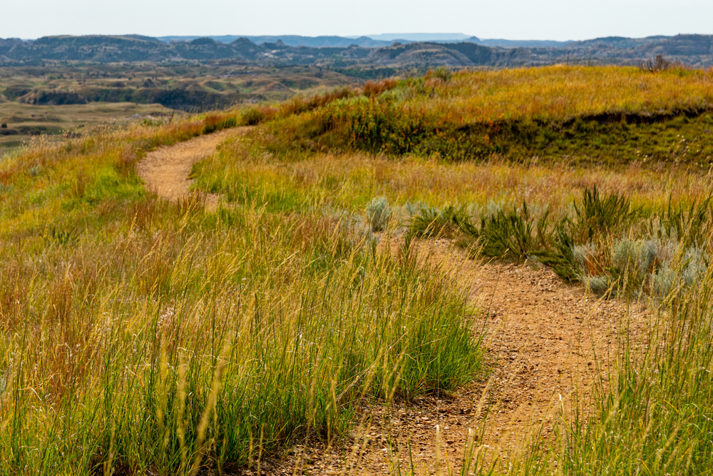 Part of the North Country Scenic trail in Michigan surrounded by prairie grass and hills on the horizon