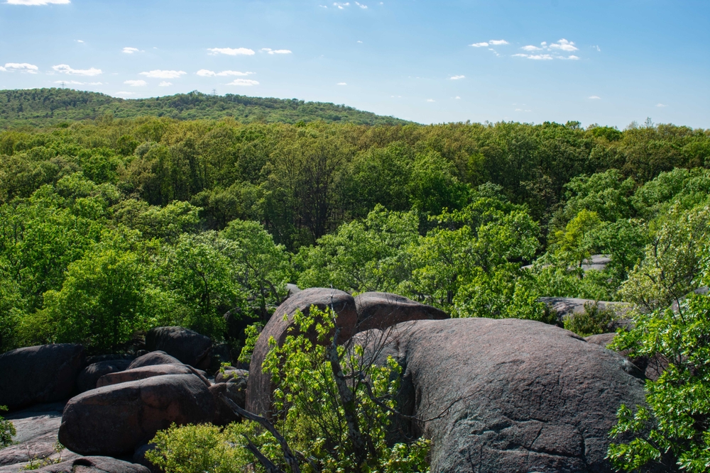 Elephant Rocks State Park, Missouri. You can see a rock that looks like an elephant with trees in the background.