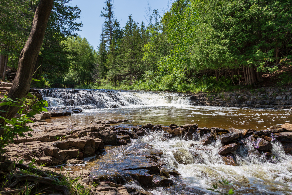 River with tress around and a small waterfall in the background. Ocqueoc in one of the waterfalls in Michigan