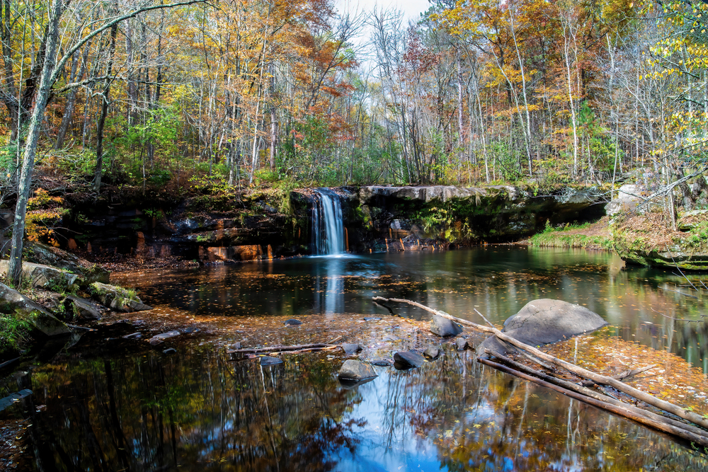 A small waterfall that runs into a clear pool of water surrounded by trees in the fall on a sunny day