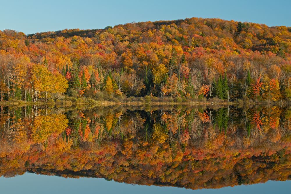 Hiawatha National Forest on a sunny fall day. The picture shows a large lake with a hillside covered in trees. The trees are full of changing leaves. The leaves are yellow, orange, red, and some still green. It is a great stop for Michigan road trips.