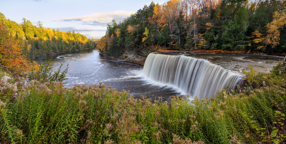 Tahquamenon Falls, which is a great spot for Michigan road trips. The falls are wide and running into the river from a large pool of the river above it. The river and waterfall are surround by trees, some changing colors for the fall. The leaves are green, yellow, orange, and a bit are red. In the front of the picture are tall grasses.