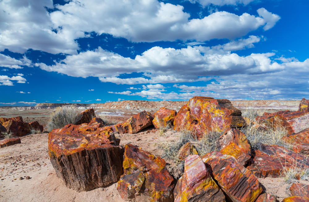 A stack of petrified wood laying on the sand at the Petrified Forest National Park. The petrified wood is very colorful with red, brown, yellow, and orange coloring throughout. It is a very blue sky with clouds Route 66 attractions