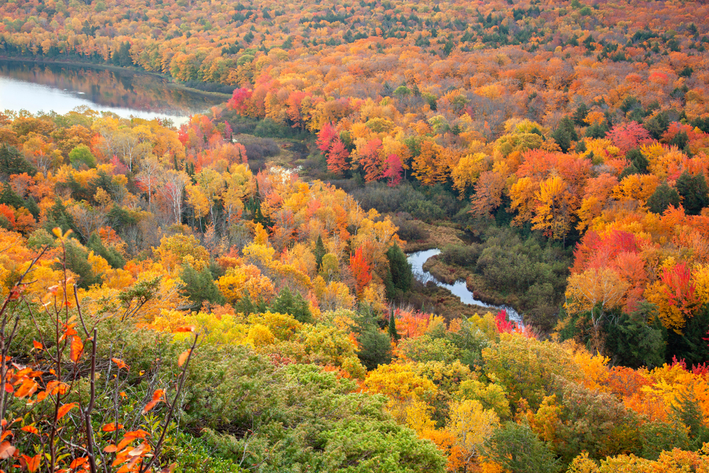 The view of the valley at Porcupine Wilderness State Park. You can see a river snaking through the valley and leading toward a large pond or lake. The entire area is covered in trees. Most of the trees have yellow, orange, and red leaves. Some still have green leaves or no leaves.