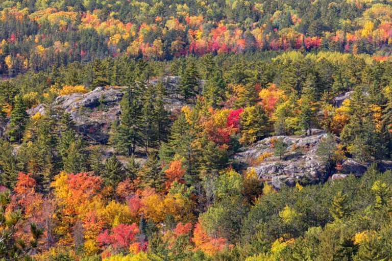 12 Best Places To Experience Fall In Michigan - Midwest Explored