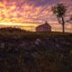 Sunset over the brick schoolhouse at Tallgrass Preserve with yellow flowers in the foreground.