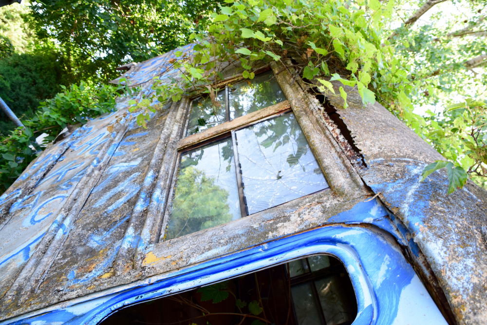 An old bus sticking out the ground covered in ivy . One of the things to do in Kansas