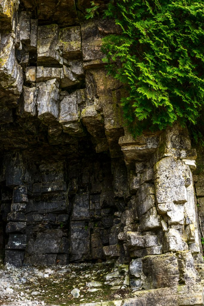 The Niagara Escarpment is a rocky crop with green foliage