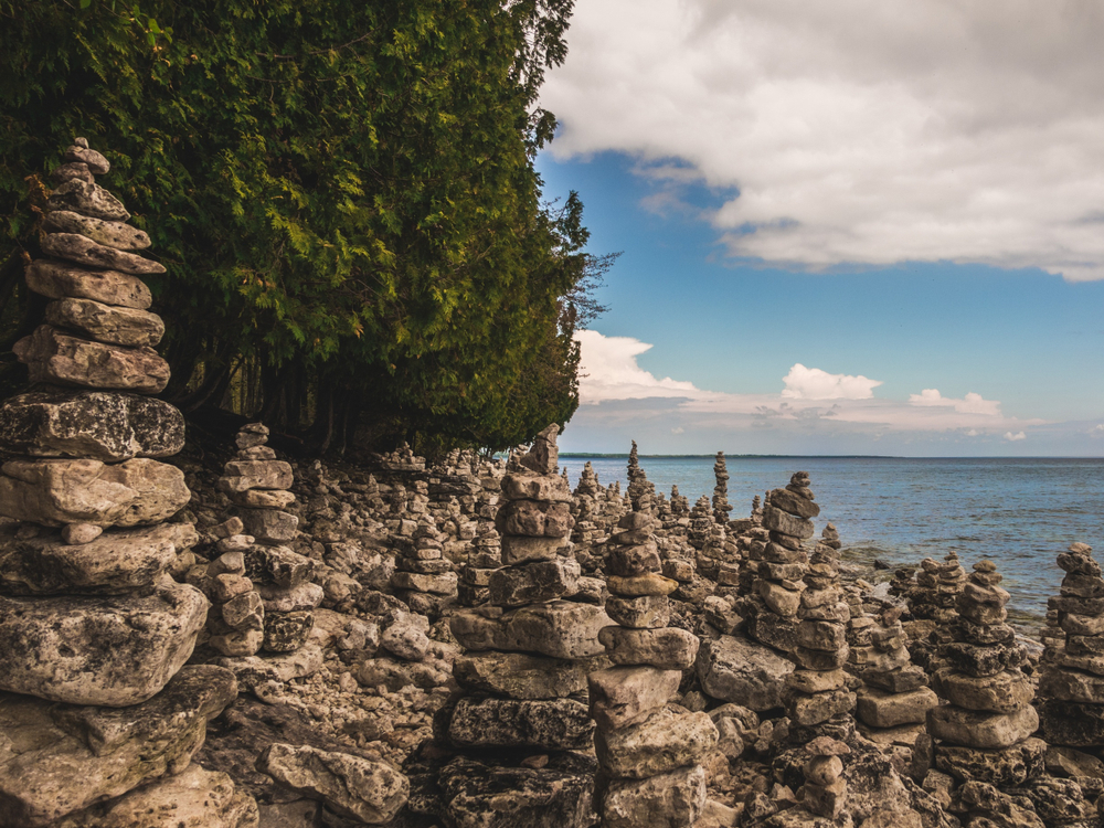 Rocks piled up on a rocky shoreline with trees in the background.