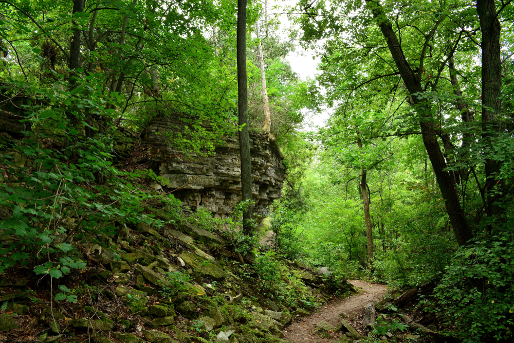 A path winding through a rocky escarpment and trees