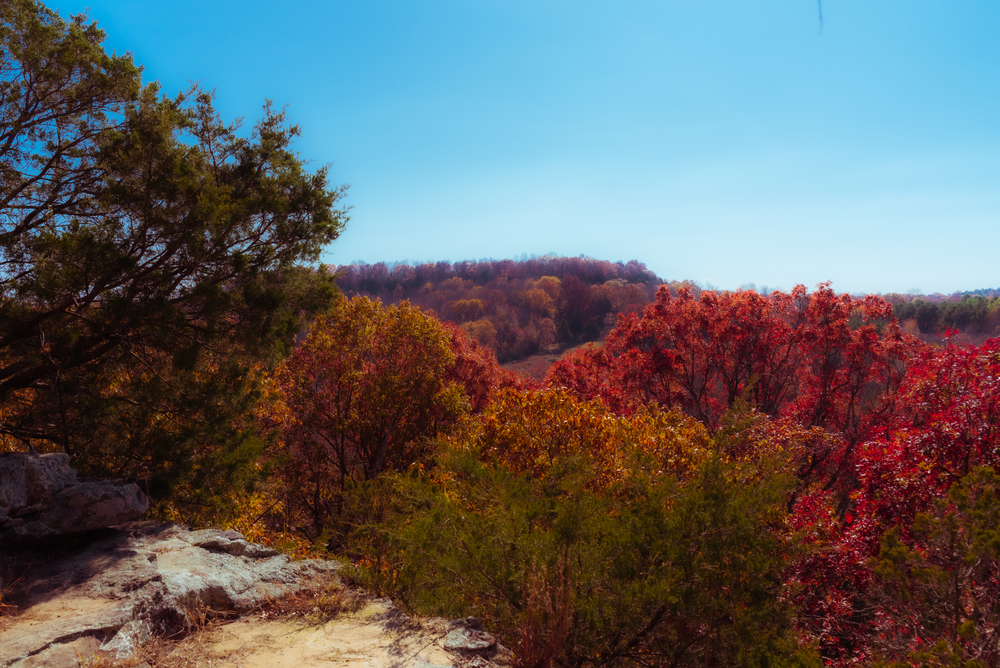 Ferne Clyffe State Park in the autumn with beautiful color and a rock in the foreground.