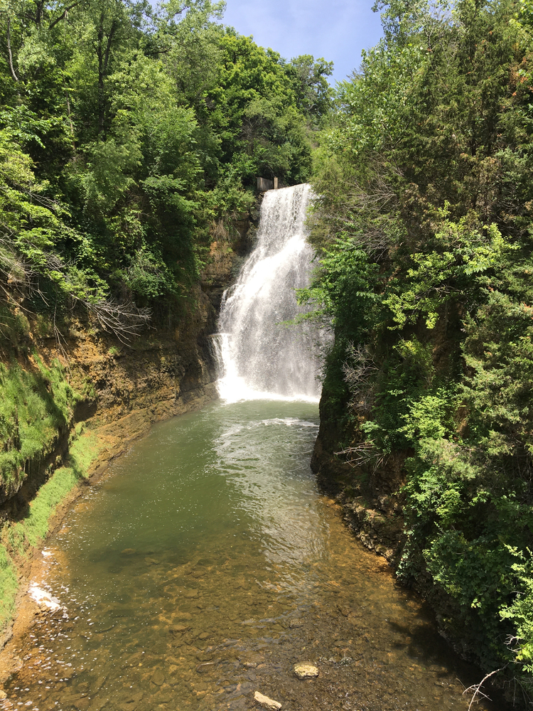 A green valley with a waterfall in the background falling into a stream
Beautiful waterfalls in Illinois