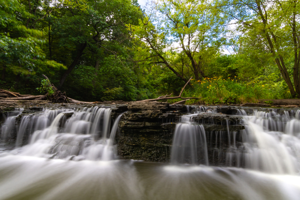 water cascading over rocks with a forest in the background.