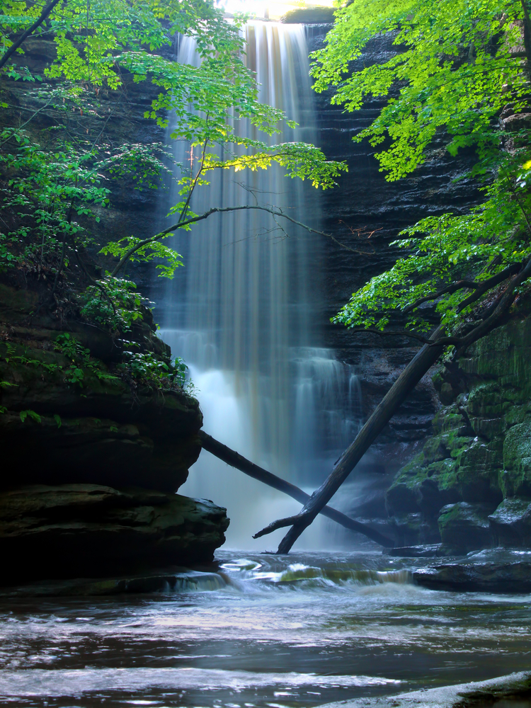 Water falling from a cloff into a stream below with trees and rocks in the foreground. Lake Falls is on of the waterfall in Illinois .