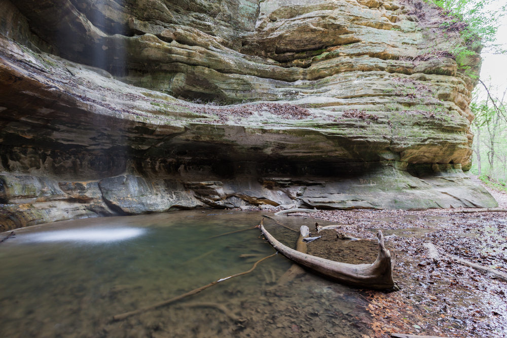 Water lite by the sun falling into a pool in the background with driftwood in the foreground. St Louis falls one of the waterfalls in Illinois