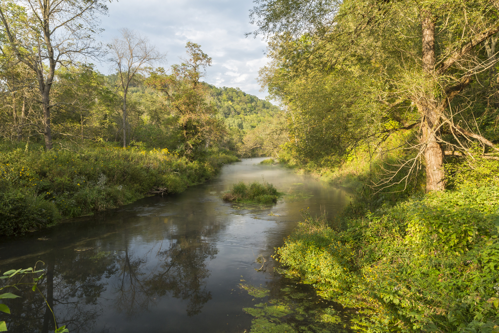 In this state park in Ohio, a creek runs through rolling hills and is lined with green bushes and trees.