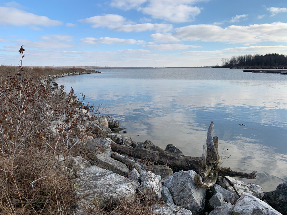 A cloudy, blue sky is reflected in a large lake surrounded by trees and grass in a Ohio state park.