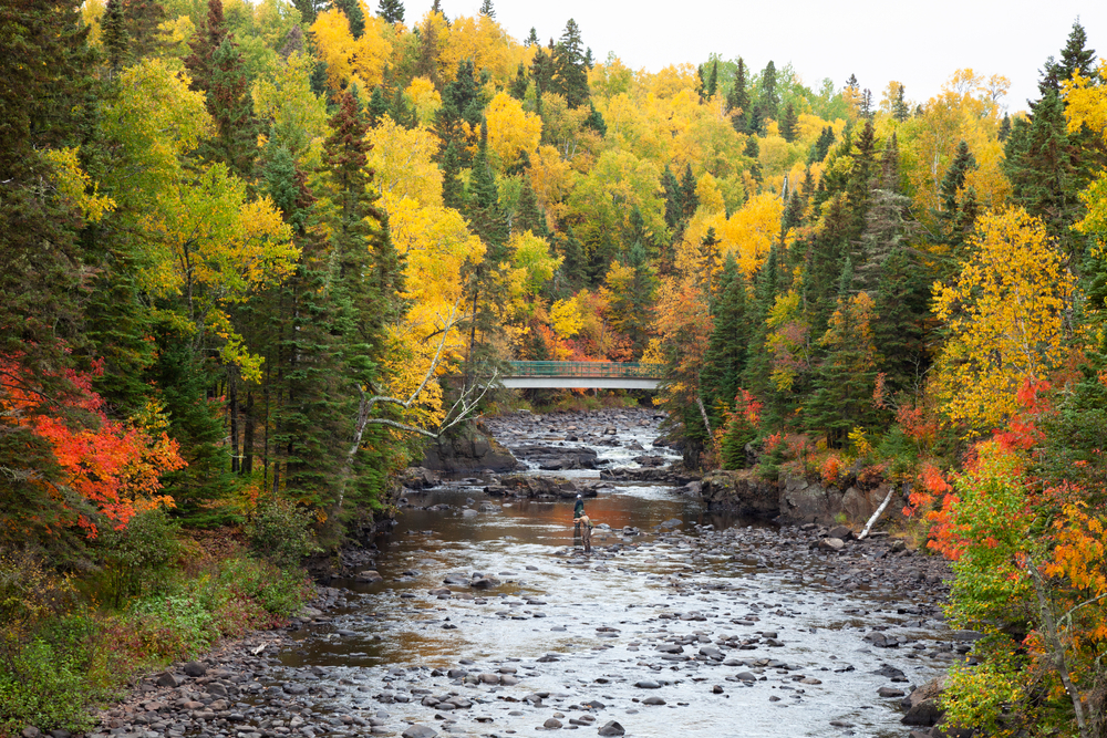 Looking down the Brule River where you can see a metal bridge and people standing in the river. The river is surrounded by large trees and it has a very rocky shore. The trees have yellow, red, orange, and green leaves. 